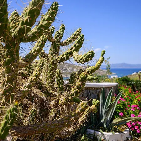 9 Muses Mykonos Villa