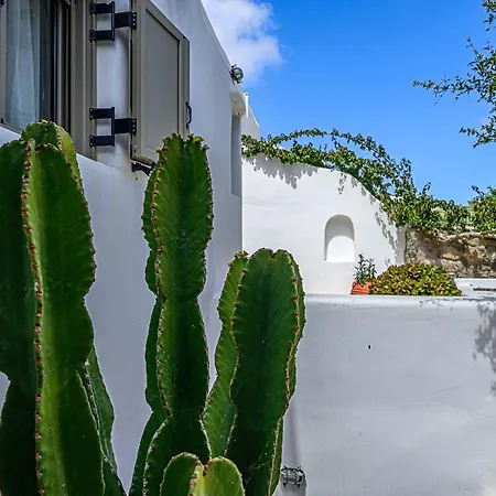 9 Muses Mykonos فيلة